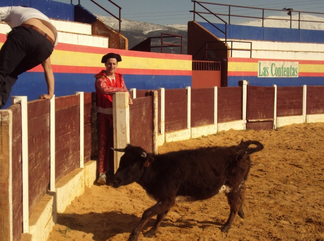  Protecting himself in the burladero 